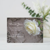 Filmsympathie voor witte roos bedankkaart (Staand voorkant)