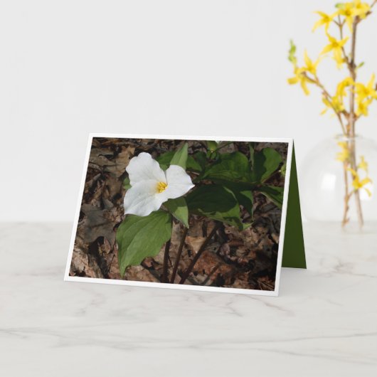 Filosofische bloem trillium wenskaart kaart (Gele Bloem)