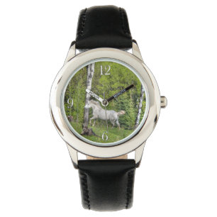 Filtering van paardenpaarden met witte paardenpest horloge