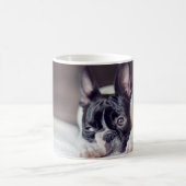 Fina the Boston Terrier Koffiemok (Center)