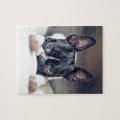 Fina the Boston Terrier Legpuzzel (Horizontaal)