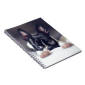 Fina the Boston Terrier Notitieboek (Rechterzijde)