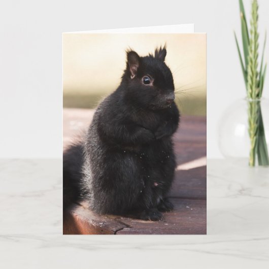 Finally Friends Kaart (Voorkant)