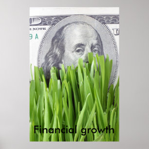 Financiële groei poster