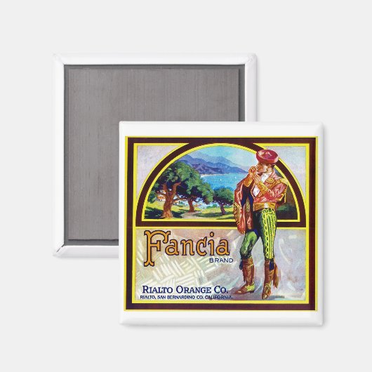 Financiële Sinaasappels Magneet (Voorkant / Achterkant)