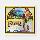 Financiële Sinaasappels Magneet (Voorkant)