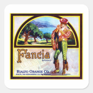 Financiële Sinaasappels Vierkante Sticker