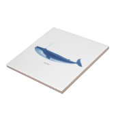 Finback Whale no.4 Marine Mammal Nautical Decor Tegeltje (Zijkant)