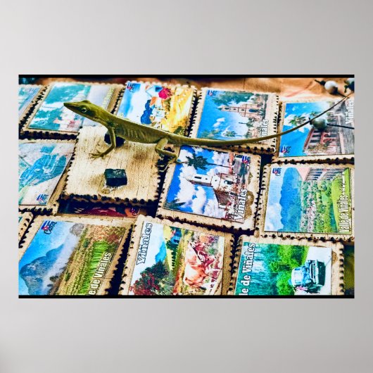 Finca Macondo Cafe Gecko Poster (Voorkant)