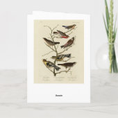 Finch, Bunting, Grosbeak, Audubon Birds of America Kaart (Achterkant)