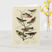 Finch, Bunting, Grosbeak, Audubon Birds of America Kaart (Gele Bloem)