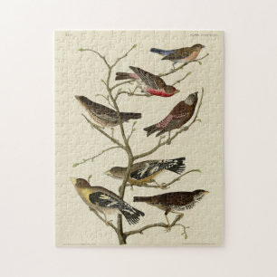 Finch, Bunting, Grosbeak, Audubon Birds of America Legpuzzel