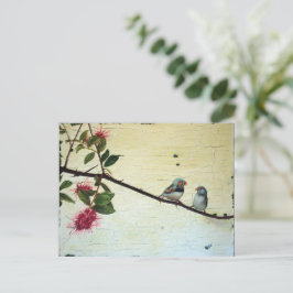 Finch Conversation Postcard Briefkaart
