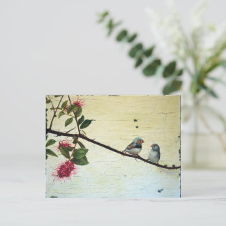 Finch Conversation Postcard Briefkaart
