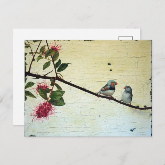 Finch Conversation Postcard Briefkaart (Voorkant / Achterkant)