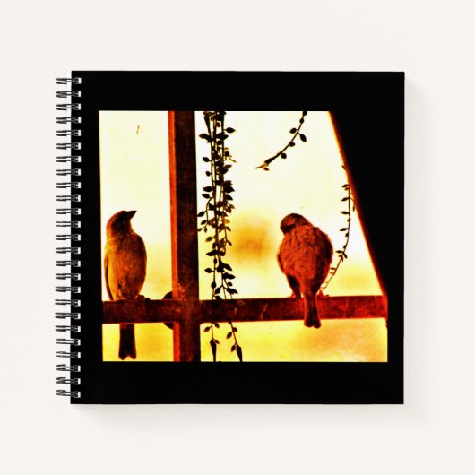 Finch Friends Notitieboek (Voorkant)