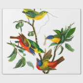 Finch, geschilderd door John James Audubon Cadeaupapier (Vlak)