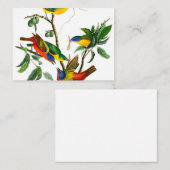 Finch, geschilderd door John James Audubon Notitiekaartje (Voorkant / Achterkant)