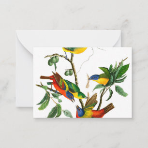 Finch, geschilderd door John James Audubon Notitiekaartje