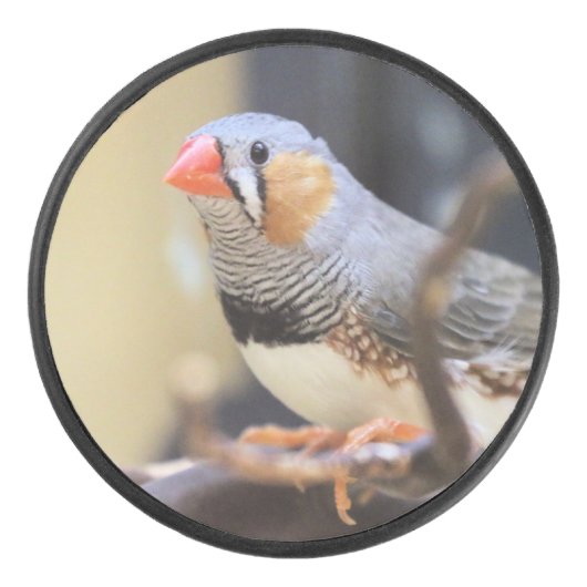 Finch Hockey Puck (Voorkant)