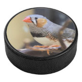 Finch Hockey Puck (3/4)