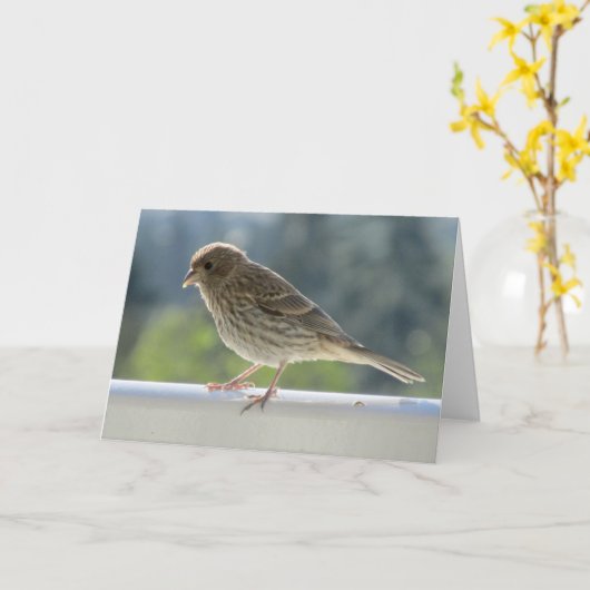 Finch in de Morning Sun. Kaart (Gele Bloem)