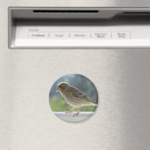 Finch in de Morning Sun. Magneet (Insitu (Vaatwasser))