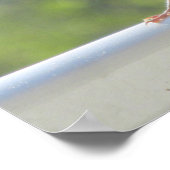 Finch in de Morning Sun. Poster (Hoek)