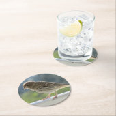 Finch in de Morning Sun. Ronde Kartonnen Onderzetter (Insitu)