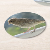 Finch in de Morning Sun. Ronde Kartonnen Onderzetter (Gebogen)