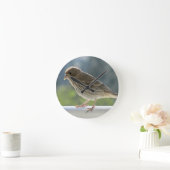 Finch in de Morning Sun. Ronde Klok (Huis)