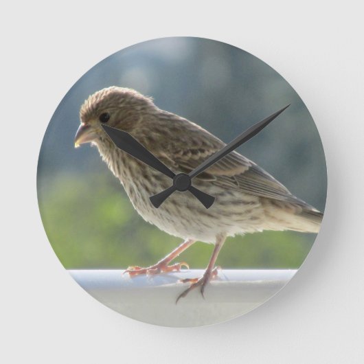 Finch in de Morning Sun. Ronde Klok (Voorkant)