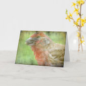 Finch Kaart (Gele Bloem)