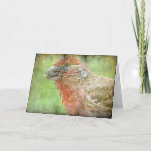Finch Kaart (Voorkant)