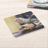 Finch Kartonnen Onderzetters (Schuin)