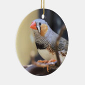 Finch Keramisch Ornament (Rechts)