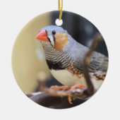 Finch Keramisch Ornament (Voorkant)