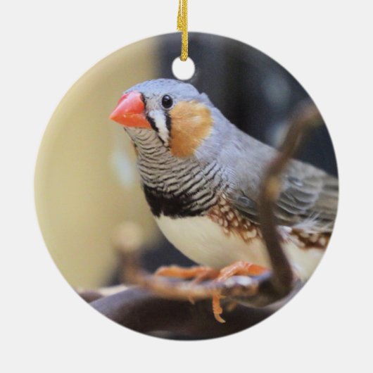 Finch Keramisch Ornament (Achterkant)