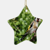 FInch Keramisch Ornament (Rechts)