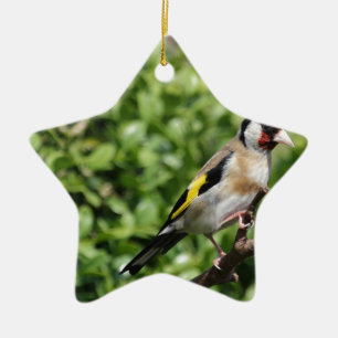 FInch Keramisch Ornament