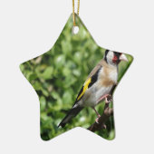 FInch Keramisch Ornament (Links)