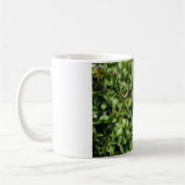 FInch Koffiemok (Links)