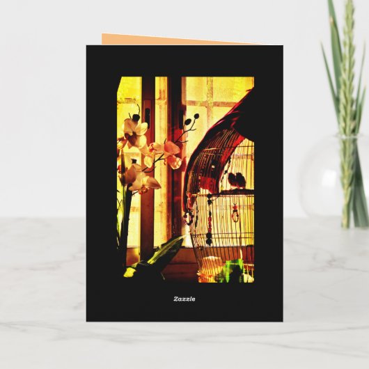 Finch Love Kaart (Achterkant)