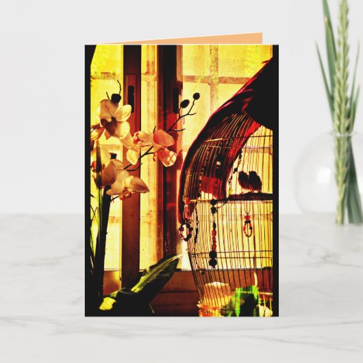 Finch Love Kaart (Voorkant)