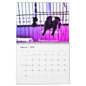 Finch Love Kalender (Feb 2027)