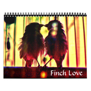 Finch Love Kalender
