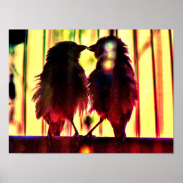 Finch Love Poster