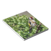 FInch Notitieblok (Schuin)