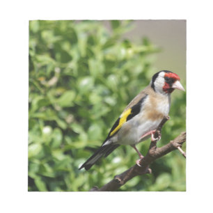 FInch Notitieblok