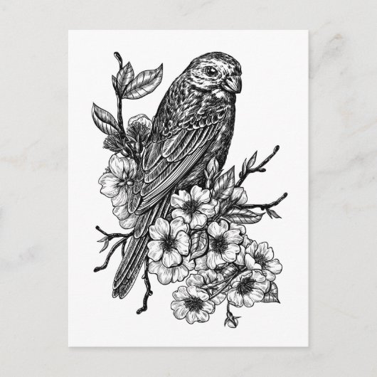 Finch op kersenbranche briefkaart (Voorkant)